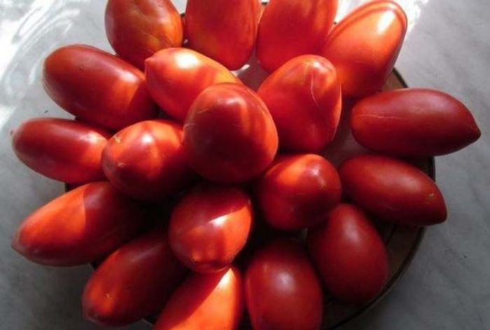 Плодове на домата "Принцесата лебед"