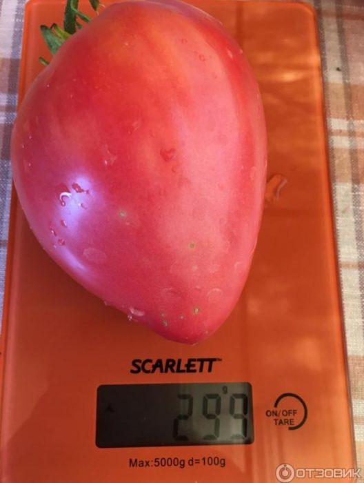 Φρούτα στη ζυγαριά