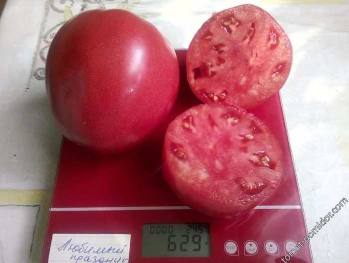 Φρούτα και κομμένα φρούτα της αγαπημένης ποικιλίας Holiday