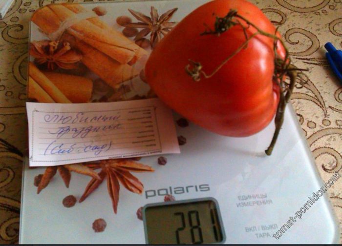 Ποικιλία ντομάτας σε σχήμα καρδιάς Αγαπημένες διακοπές