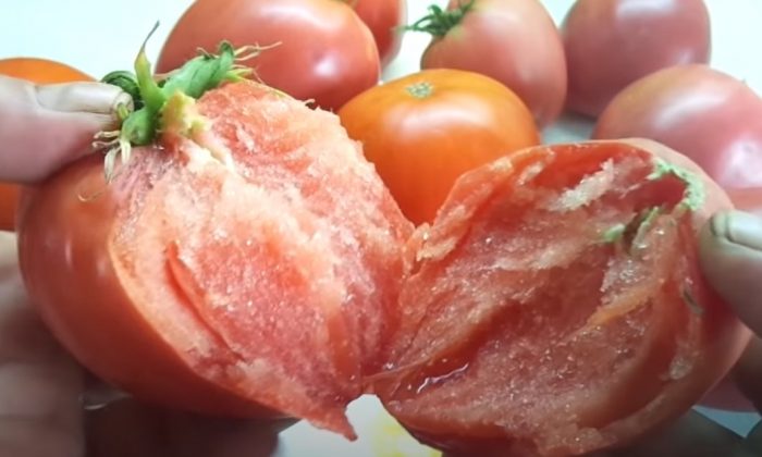 Φέτες φρούτων της ποικιλίας Favorite Holiday