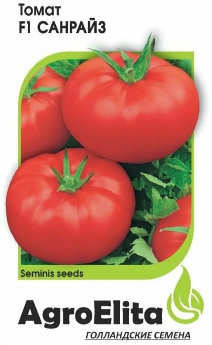 Семена от Холандия