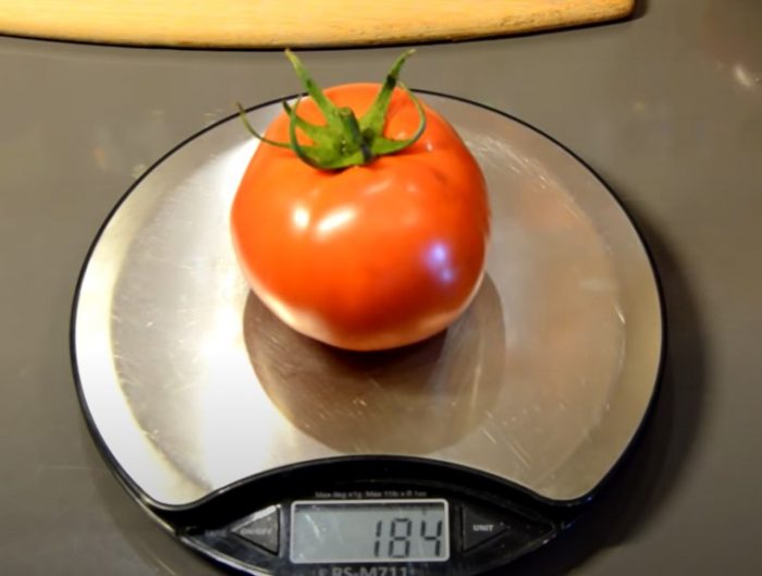 Плодът на сорта „Експлозия“ на везните