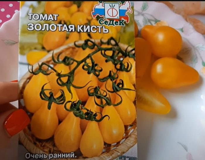 Σπόροι και φρούτα