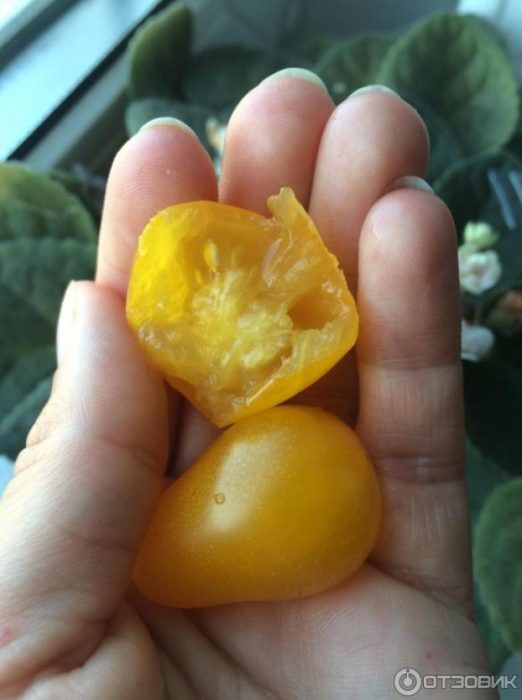 Το εσωτερικό του φρούτου Golden Brush