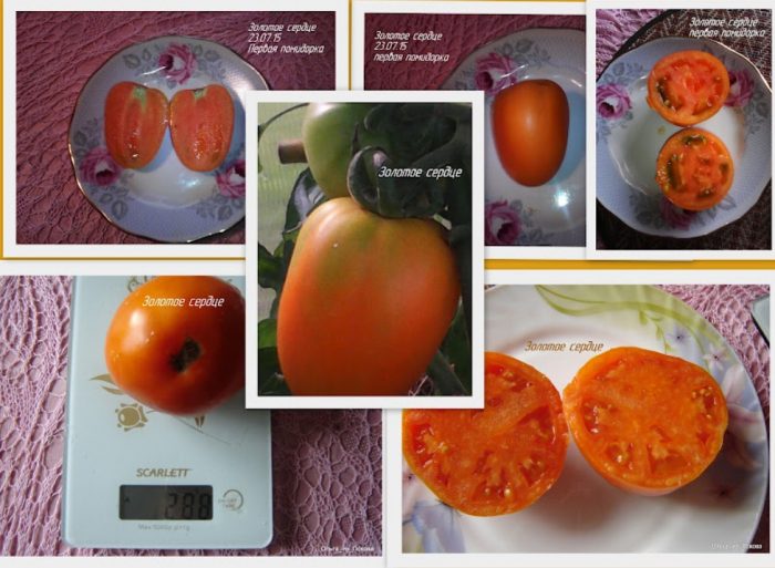 Плодове от златно сърце