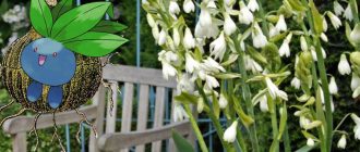 Галтония на вилата