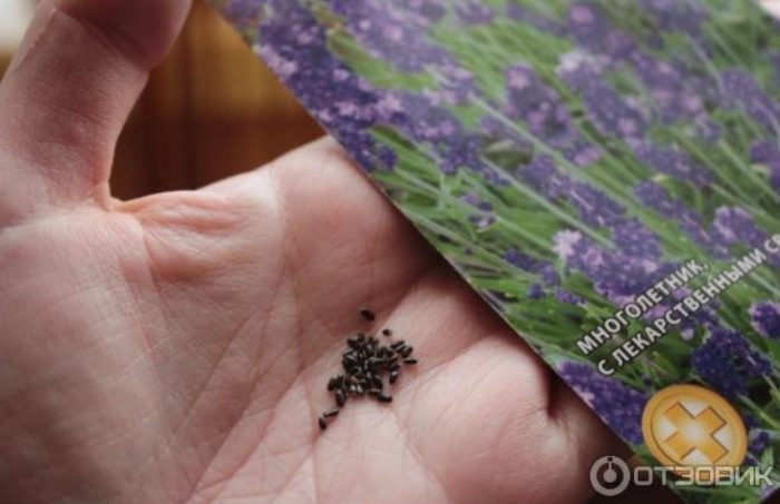 Семена от пакет