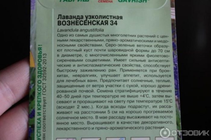 Описание на покълването на семената