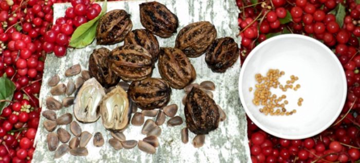 Ползи от шизандра