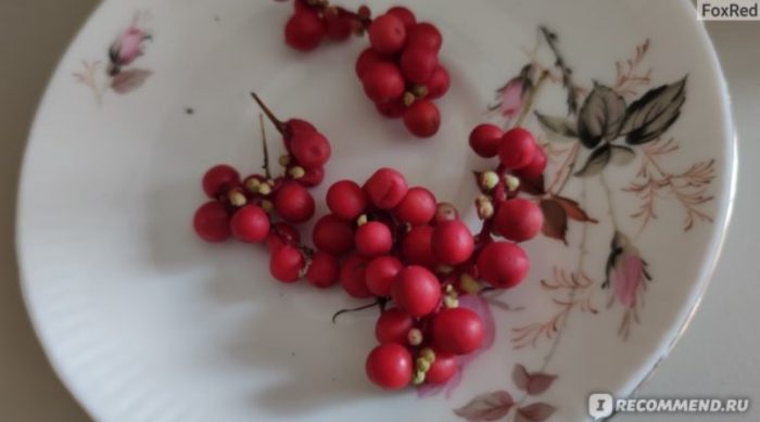 Плодове в чиния