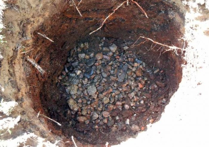 Костичка за лимонена трева