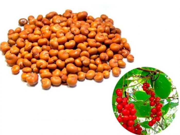 Семена от шизандра
