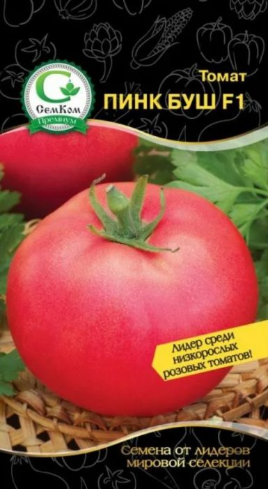 Σπόροι ντομάτας