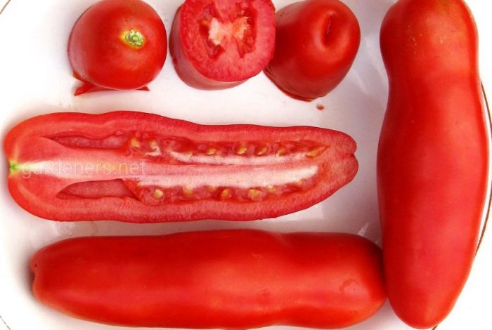 Плод в напречно сечение Плодове от сорта Жигало