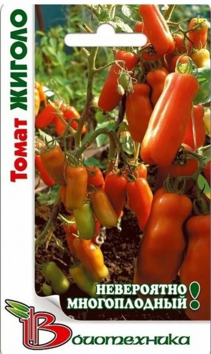 Пакет семена от Биотехника Доматени семена от сорта Жигало