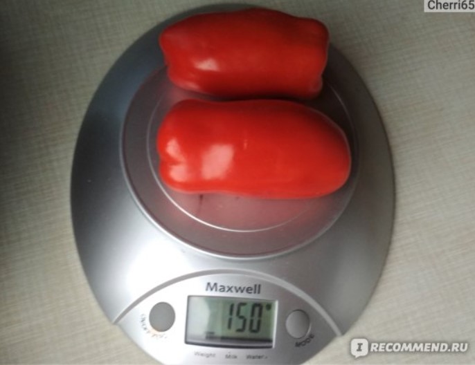 Домати на кантара Домати Gigalo на кантара