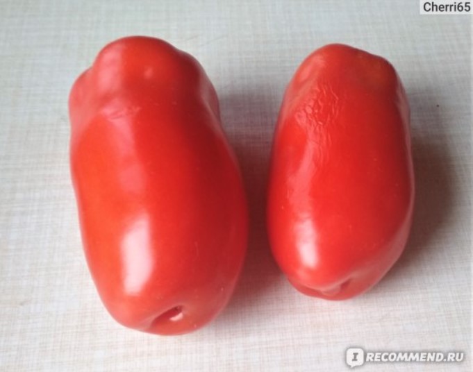 Плодовете на сорта Gigolo имат необичайна форма. Домати от сорта Жигало