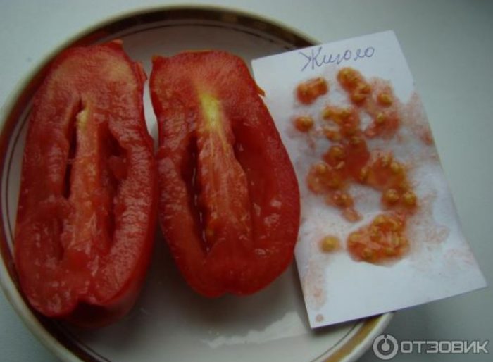 Сорт Жигало, собствени семена Вашите собствени семена от домати