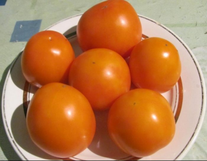 Плодове от сорта Златна свекърва на чиния