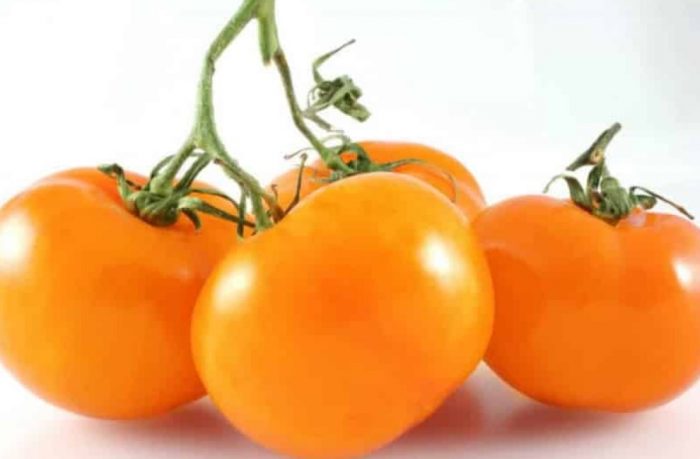 Оранжеви плодове от сорта Златна свекърва