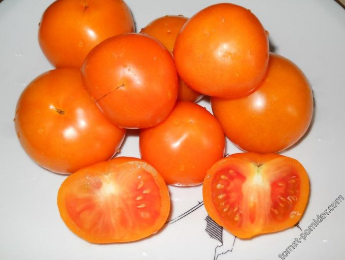 Зрели домати от сорта Златна свекърва