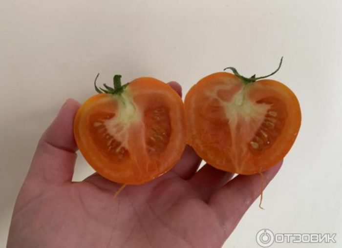 Напречно сечение на хибридни домати Златна свекърва