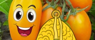 Разнообразие Златно руно