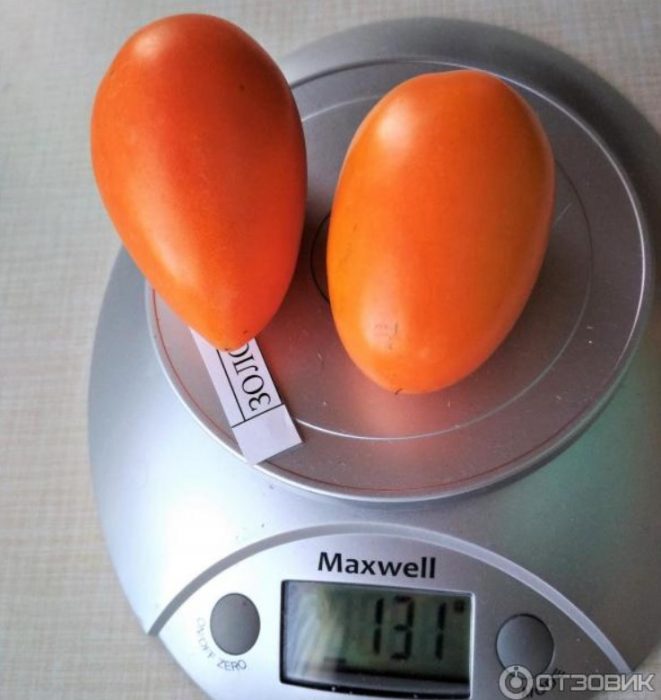 Плодове от сорта Златно руно на люспите