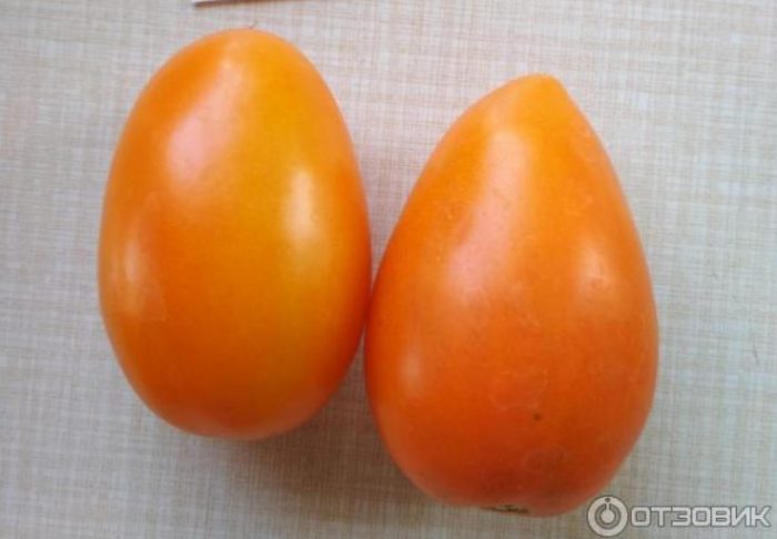 Два плода от сорта Златно руно