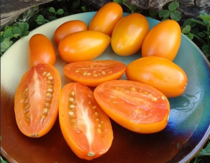 Плодове в секция