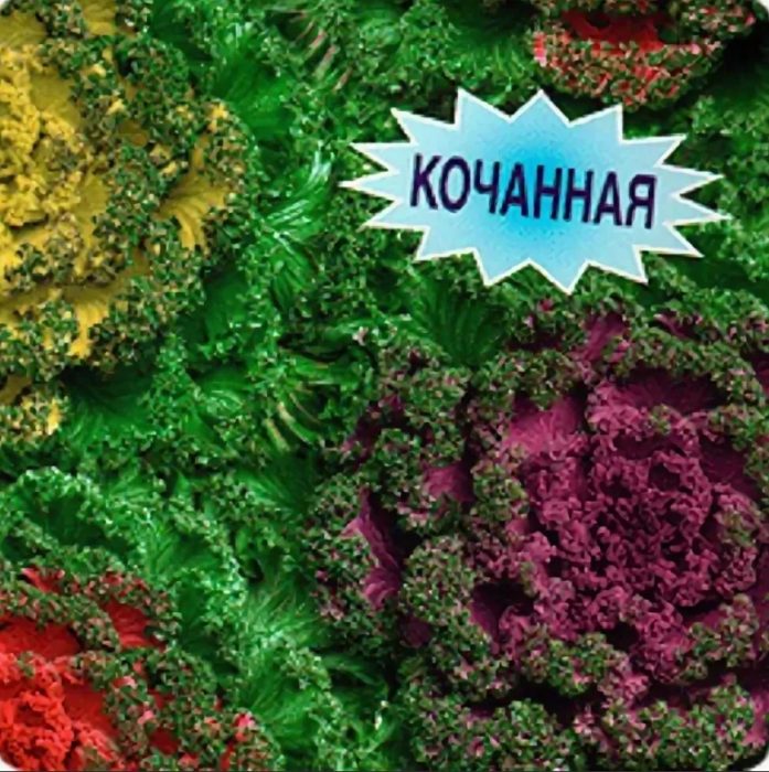 Разнообразие „Принцеса“