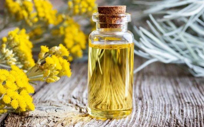 Βάμμα αθάνατου