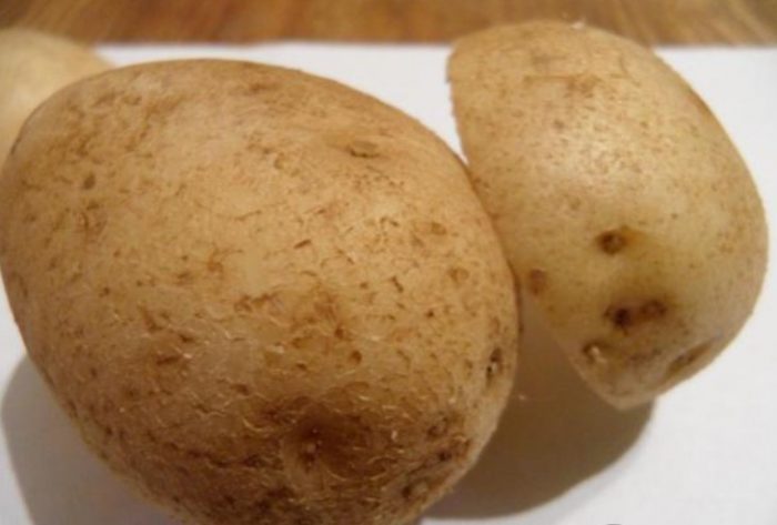 Клубени от сорта Янка