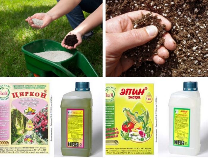 Λίπασμα λουλουδιών