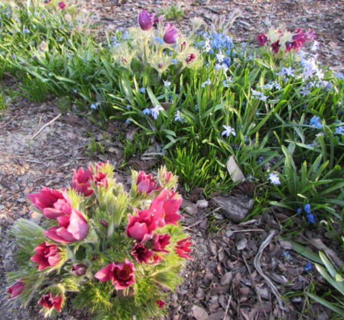 Снимайте на слънце