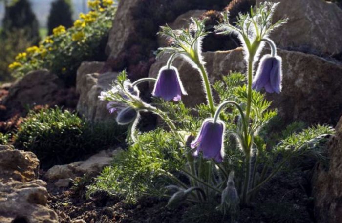 Изстрел през пейзажа