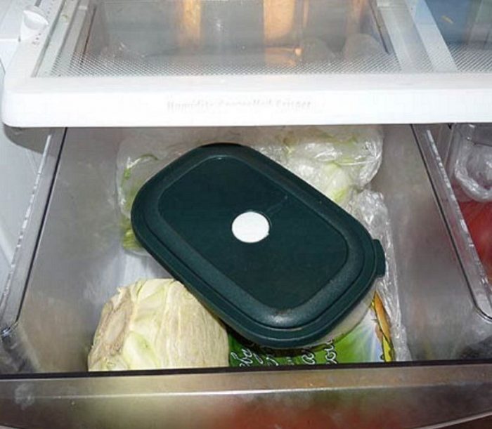 Стратификация на семената