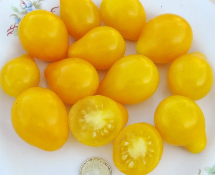 Плодове от сорта Медена капка