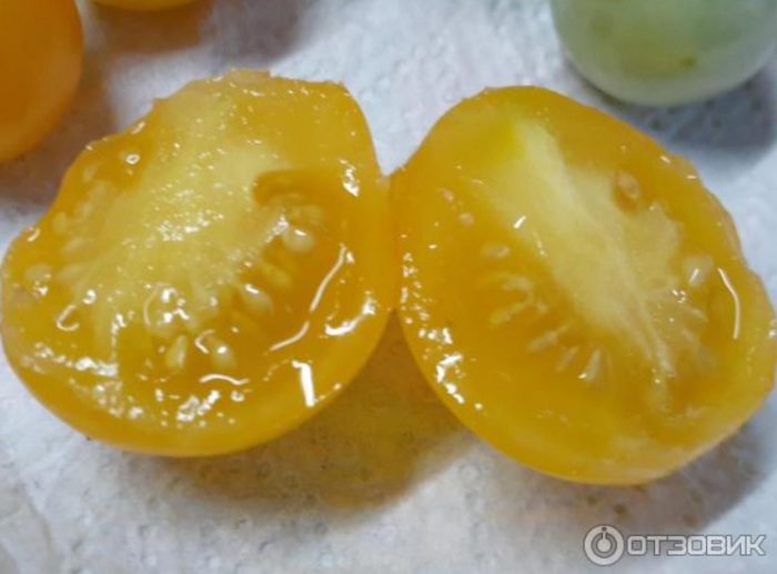 Домат в разрез