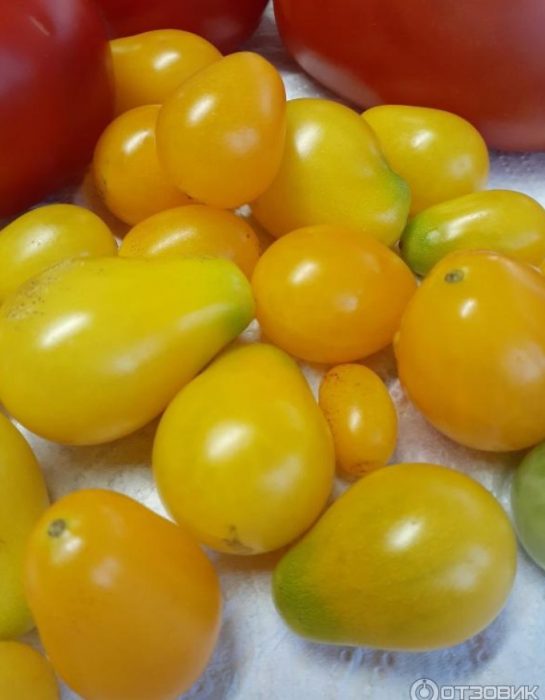 Домат с медена капка