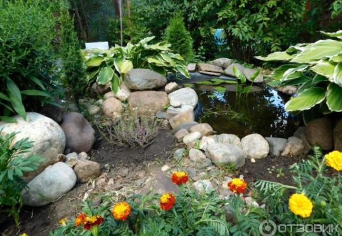 Езерце и камъни