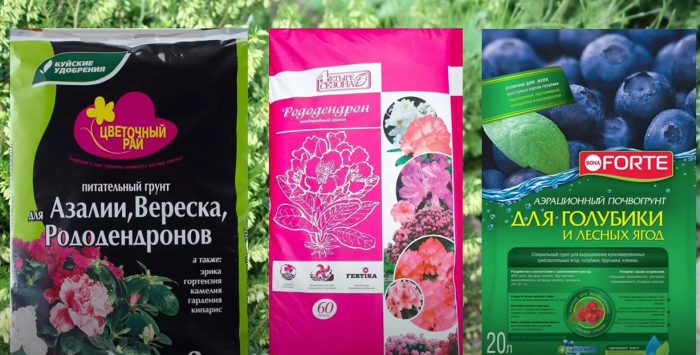 Тор за пирен