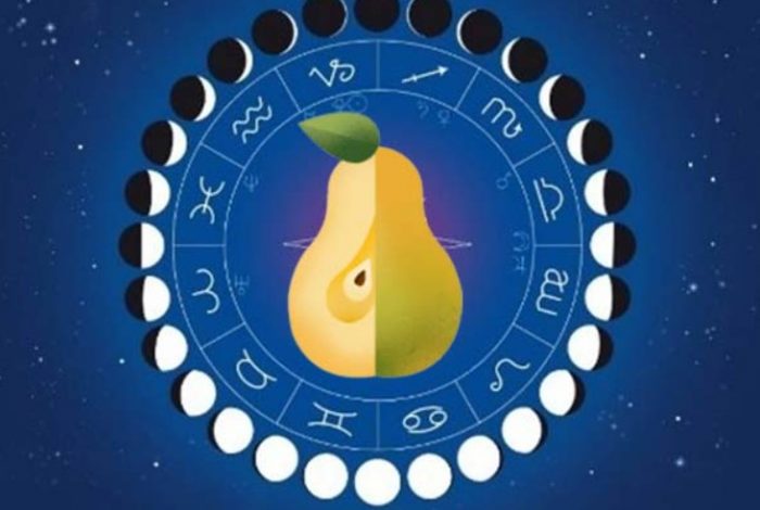 Положение на луната и засаждане на крушови дървета Луната и крушата