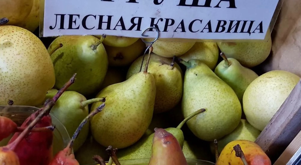 Разнообразие от горска красота