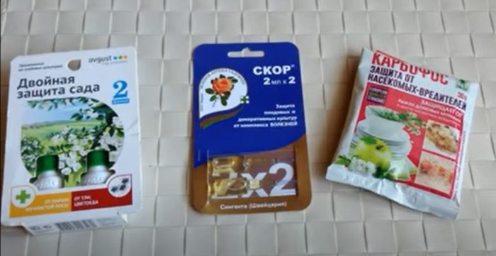 Инструменти за обработка Как да се лекува круша