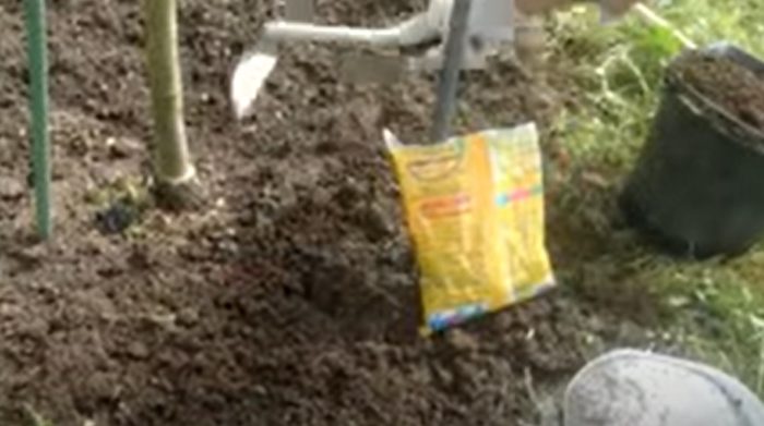 Торове за круши Торене на круши