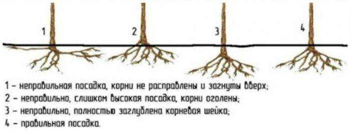 Правилно и неправилно кацане Правилно прилягане