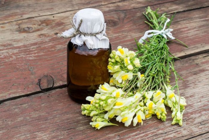 Мехлем от ленена трева