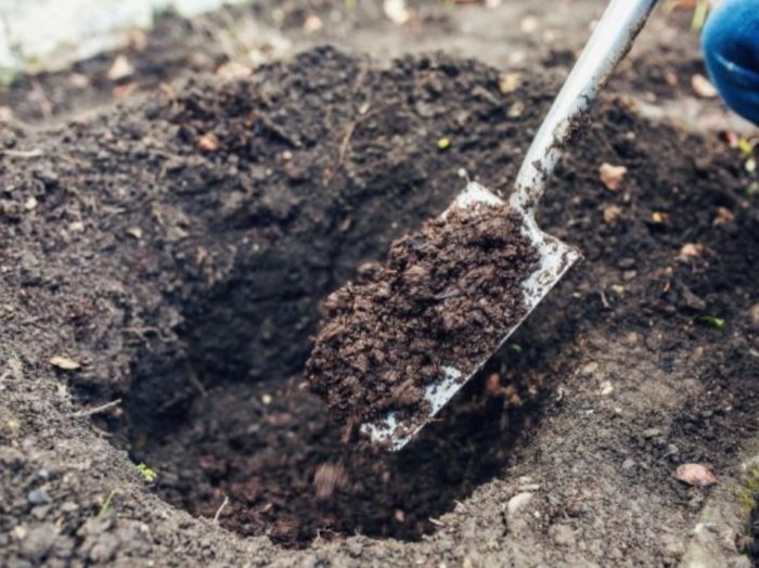 Дупка за роза